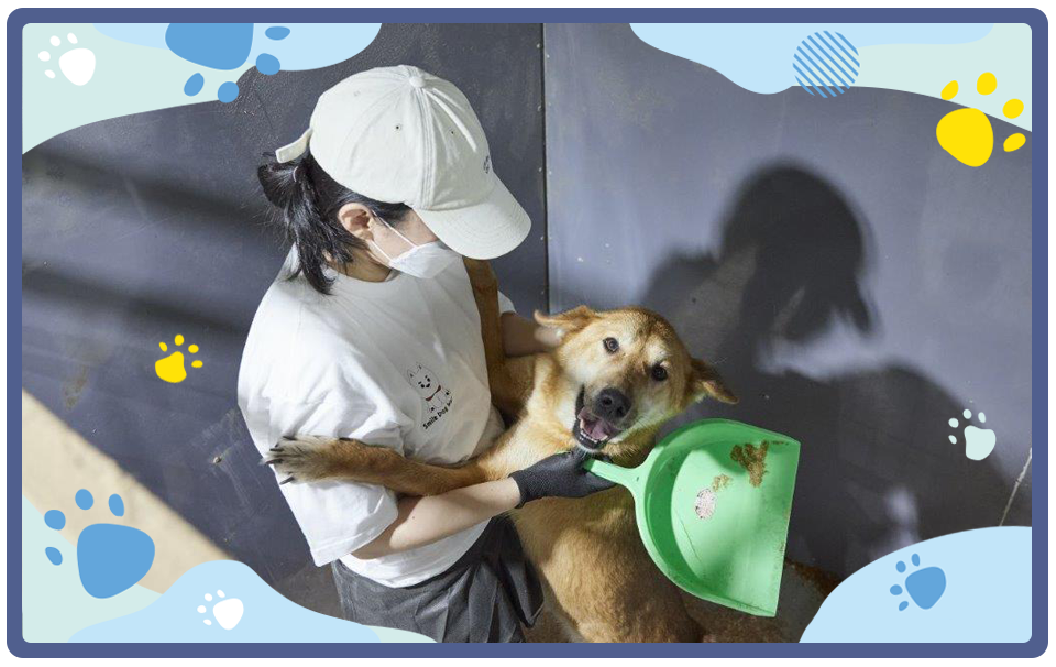 사내 동호회 봉사활동 체험기_06.png